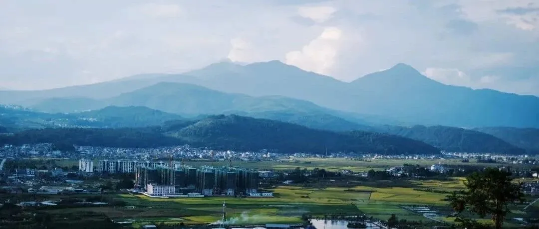 对UGC游戏直播的理解