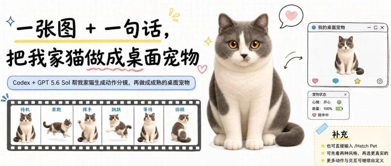 用Codex制作桌面宠物全攻略，GPT 5.6 Sol 除了贵一点毛病没有